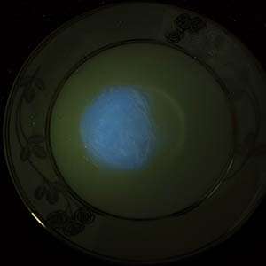 紫光手電筒檢測熒光劑